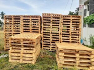 norwegian wood cat for sale